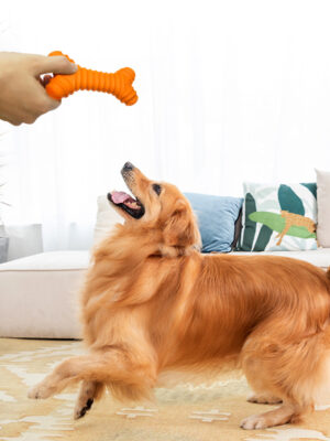 2-min Rubber Bone
