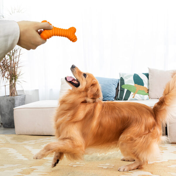 2-min Rubber Bone