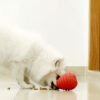 Inner Maze Dog Football