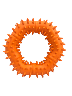 main-01 Rubber Ring
