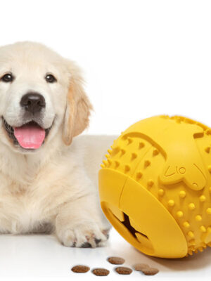 Main-02 Dog Food Ball