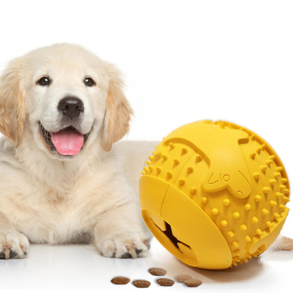 Dog Food Ball