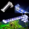 RS-S LIGHT 1 RS-S30 CRYSTAL CLIP LED LAMP