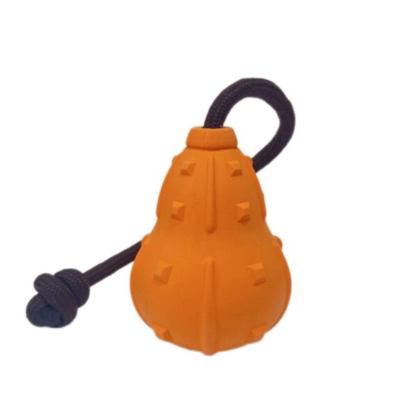Pumkin Food Feeder
