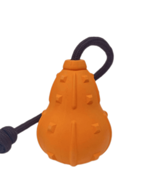 XJ00997 (2) Pumkin Food Feeder