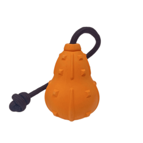 Pumkin Food Feeder